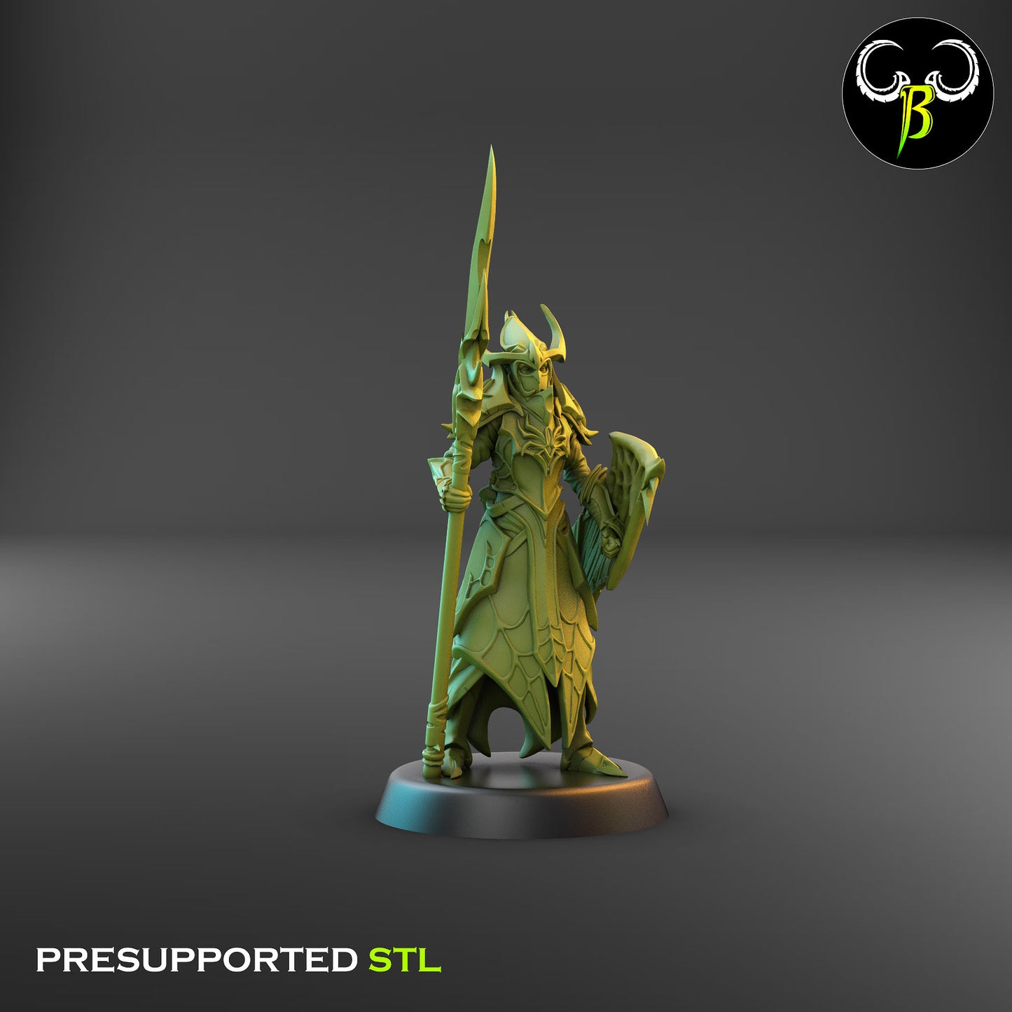 Dark Elf Cultist of the Web - Lance Bundle