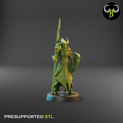 Dark Elf Cultist of the Web - Lance Bundle