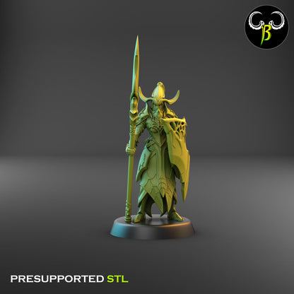Dark Elf Cultist of the Web - Lance Bundle