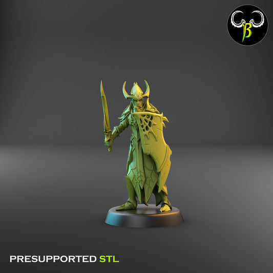 Dark Elf Cultist of the Web - Sword 4