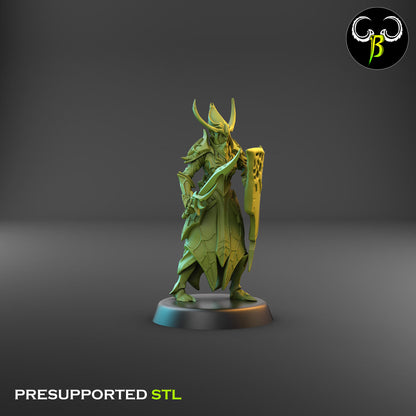 Dark Elf Cultist of the Web - Sword Bundle
