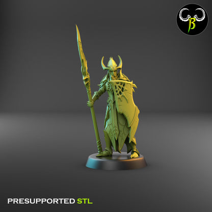 Dark Elf Cultist of the Web - Lance Bundle