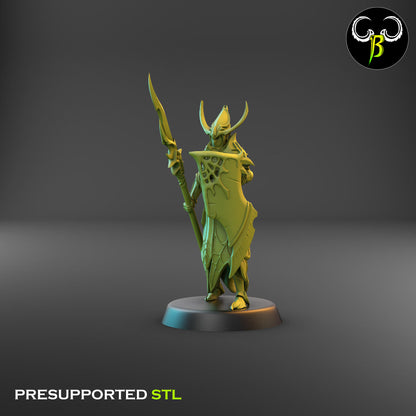 Dark Elf Cultist of the Web - Lance Bundle