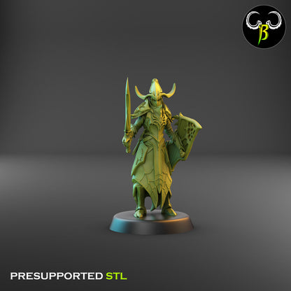 Dark Elf Cultist of the Web - Sword Bundle