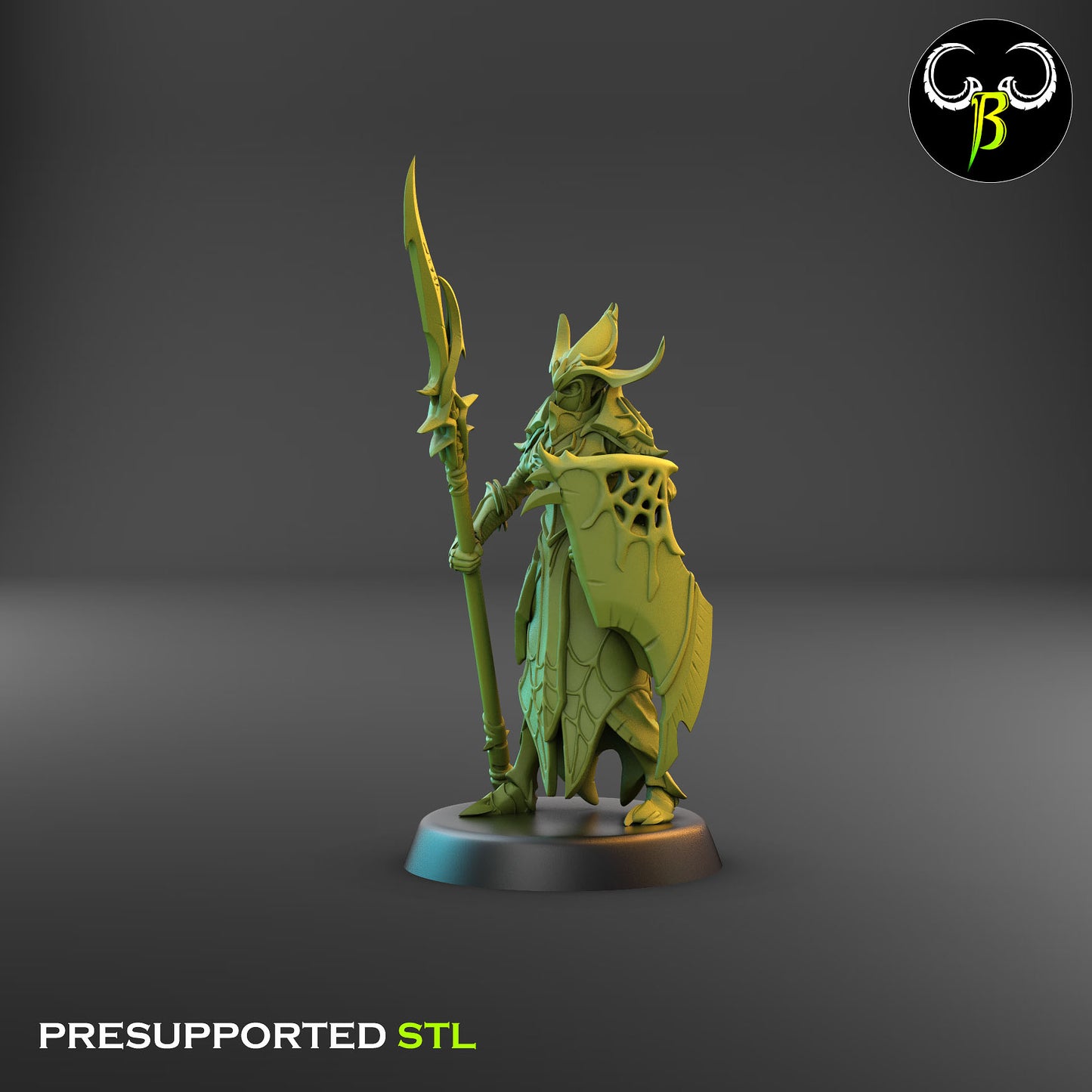 Dark Elf Cultist of the Web - Lance Bundle