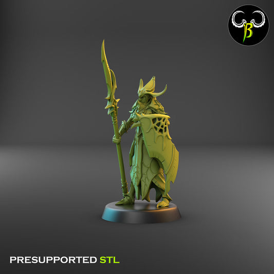 Dark Elf Cultist of the Web - Lance 7