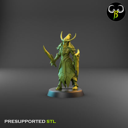 Dark Elf Cultist of the Web - Sword Bundle