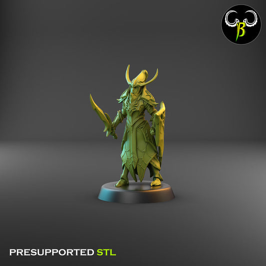 Dark Elf Cultist of the Web - Sword 7