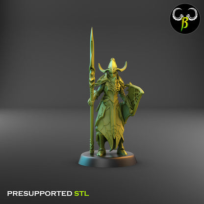 Dark Elf Cultist of the Web - Lance Bundle