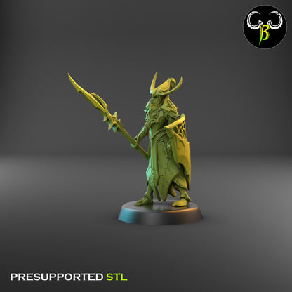 Dark Elf Cultist of the Web - Lance Bundle