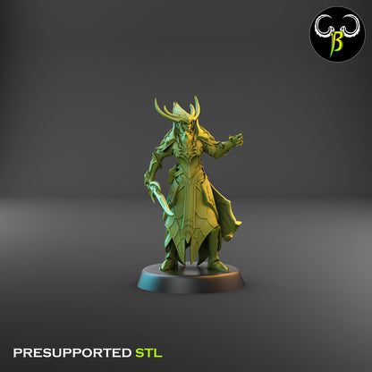 Dark Elf Cultist of the Web - Lance Bundle