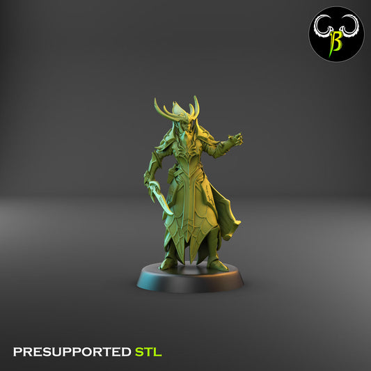 Dark Elf Cultist of the Web - Champion