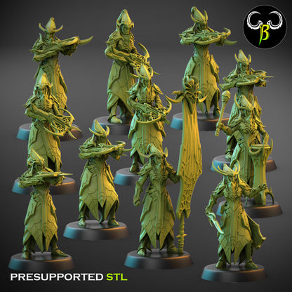 Dark Elf Cultist of the Web - Crossbow Bundle