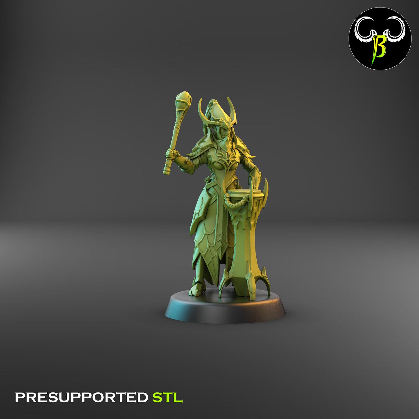 Dark Elf Cultist of the Web - Lance Bundle