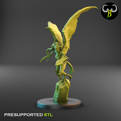 Dark Raptor - Harpy Bundle