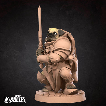 Pug Paladin
