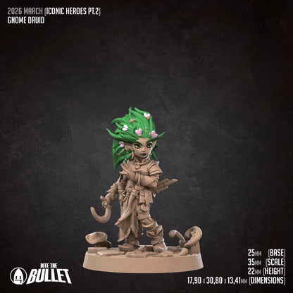 Forest Gnome Druid