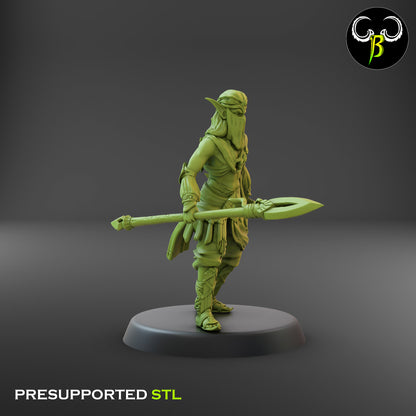 CB Dune Dancers - Elves of the Sand - Lance & Dagger 3