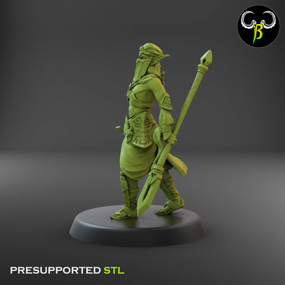 CB Dune Dancers - Elves of the Sand - Lance & Dagger 6