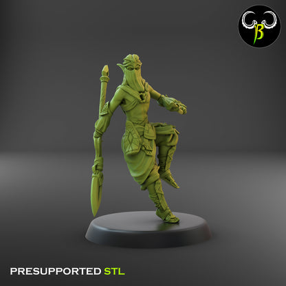 CB Dune Dancers - Elves of the Sand - Lance & Dagger 7