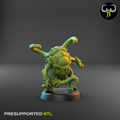 Eyecolytes of Divination - Full Pack