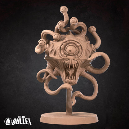 Gauth - Small Beholder