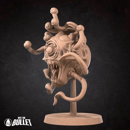 Gauth - Small Beholder