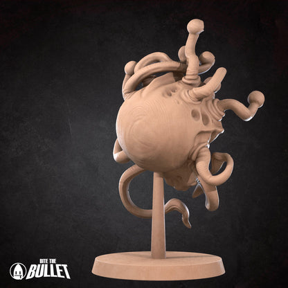 Gauth - Small Beholder