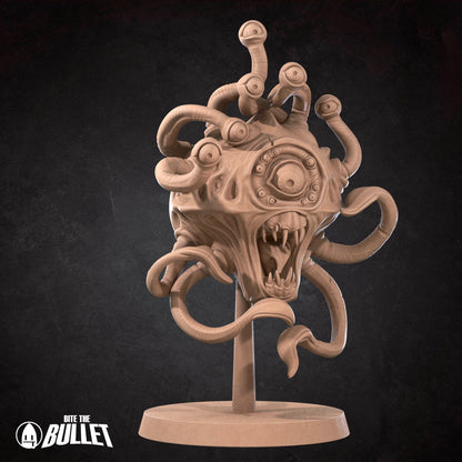 Gauth - Small Beholder