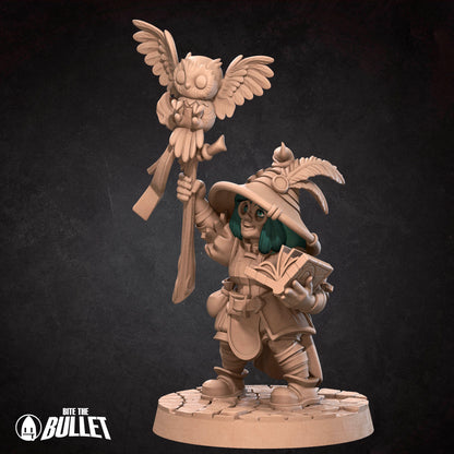 Gnome Wild Mage