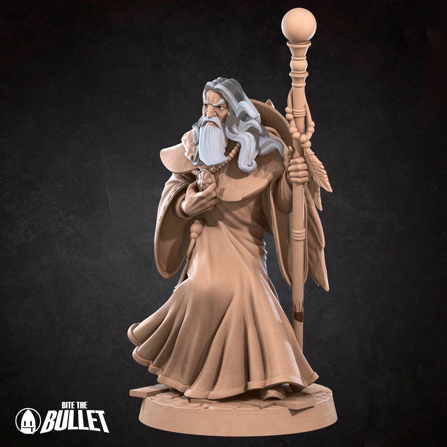 Elder Human Wizard