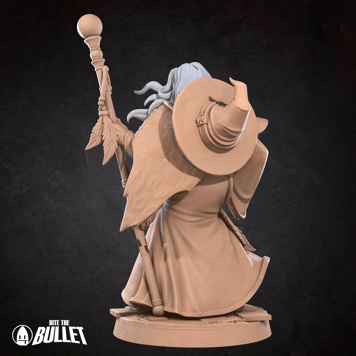 Elder Human Wizard