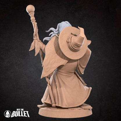 Elder Human Wizard
