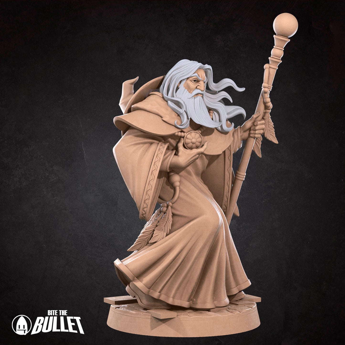 Elder Human Wizard