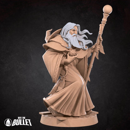 Elder Human Wizard