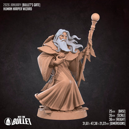 Elder Human Wizard