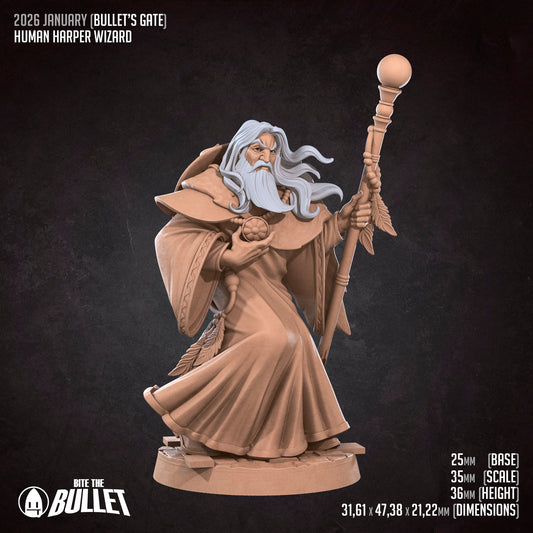 Elder Human Wizard