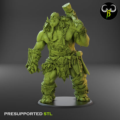 CB - Giant Solider - Iron Hoarder - Warhammer