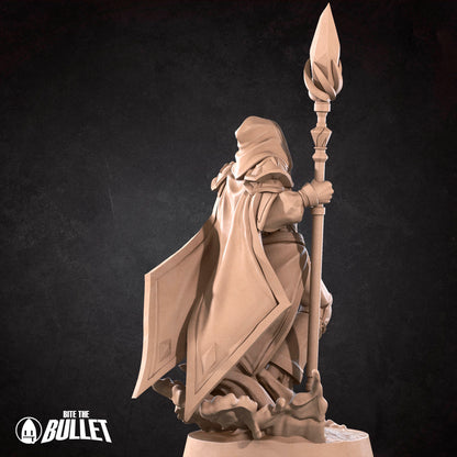High Wizard With Water Elemental