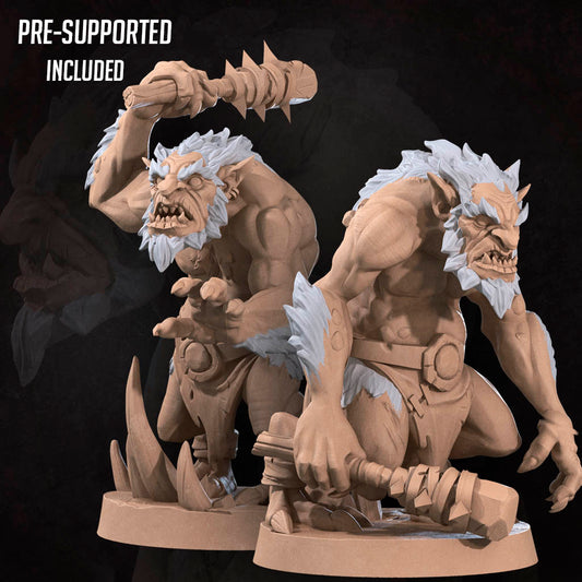 Young Troll Duo