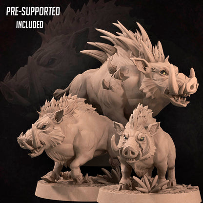Spine Boar Family