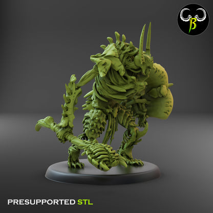 CB Marrow Knights - Marrow Construct - Bone Golem - Shield 2