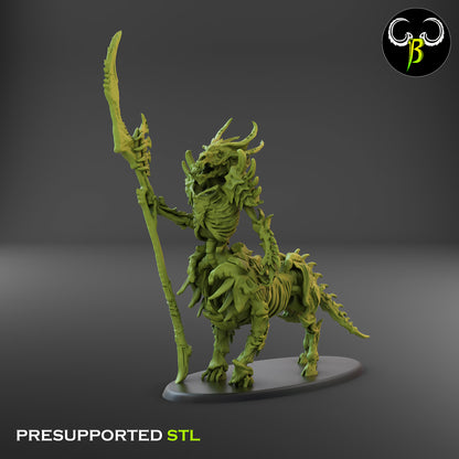 CB Marrow Knights - Undead Centaur Skeleton - Champion