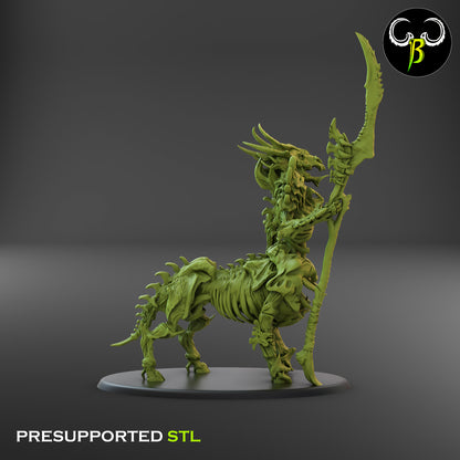 CB Marrow Knights - Undead Centaur Skeleton - Champion