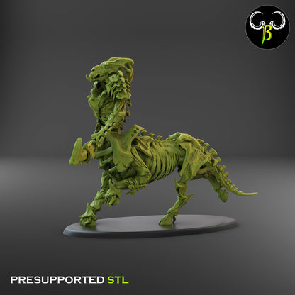 CB Marrow Knights - Undead Centaur Skeleton - Lance - Sprint 2