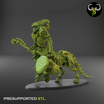 CB Marrow Knights - Musician - Undead Centaur Skeleton
