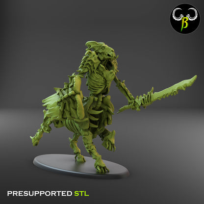 CB Marrow Knights - Sword and Sheild - Undead Centaur Skeleton - Gallop 2