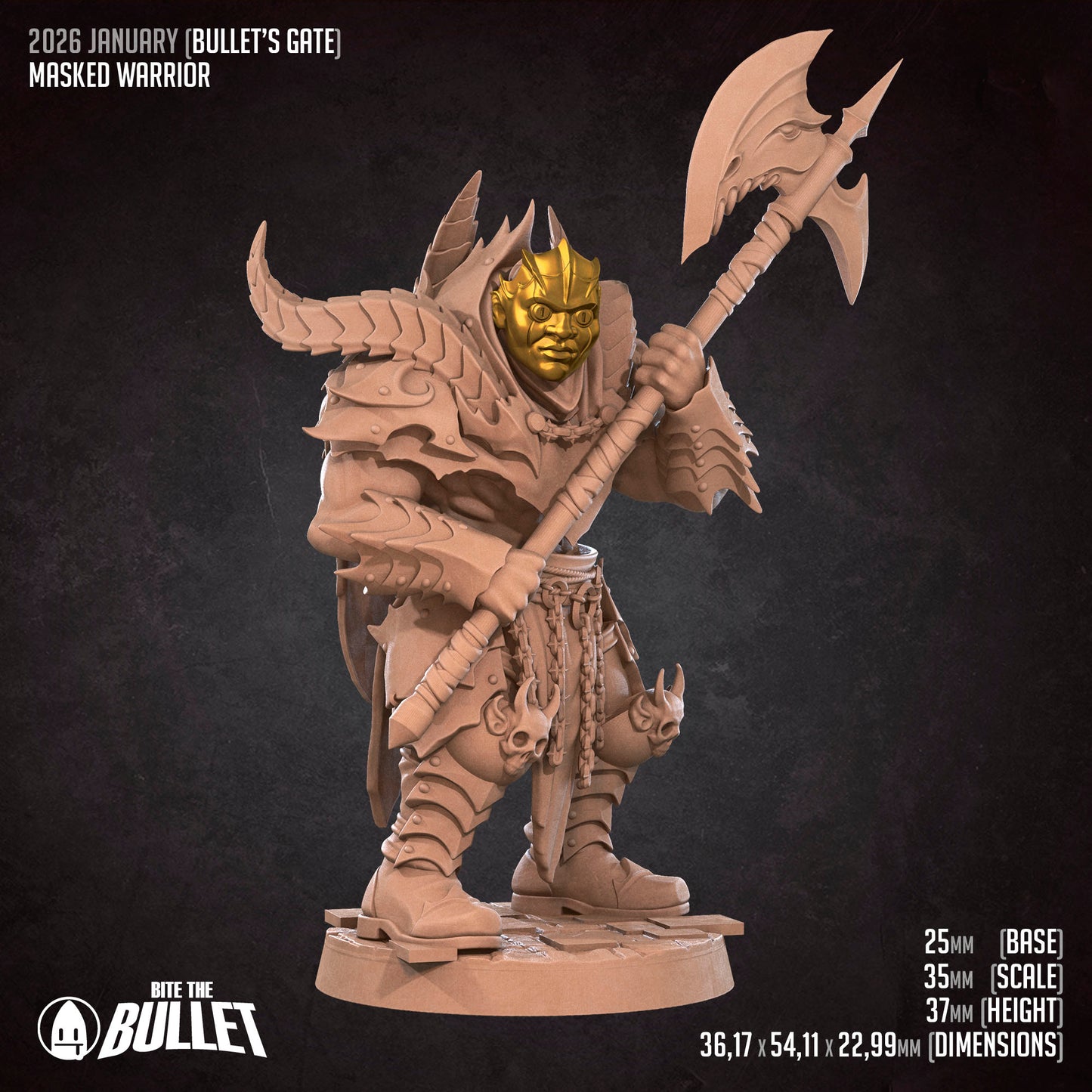 Masked Beserker