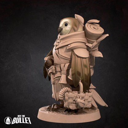 Owlfolk Gatherer