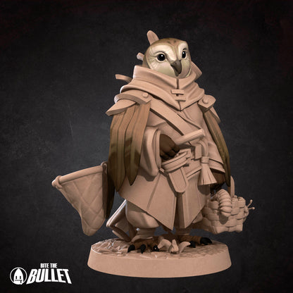 Owlfolk Gatherer
